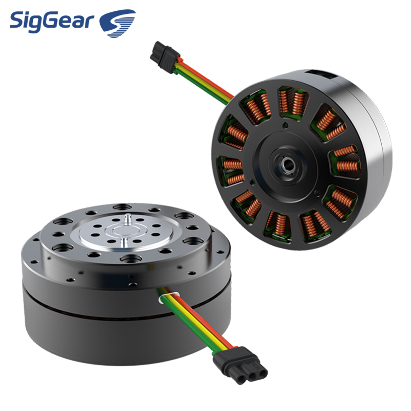 Maßgefertigtes Mikro-36V-DC-BL – Cycloidal Reducer Bldc Motor Bewertung und Preis